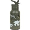 anoxeidoto-thermos-savanna 2